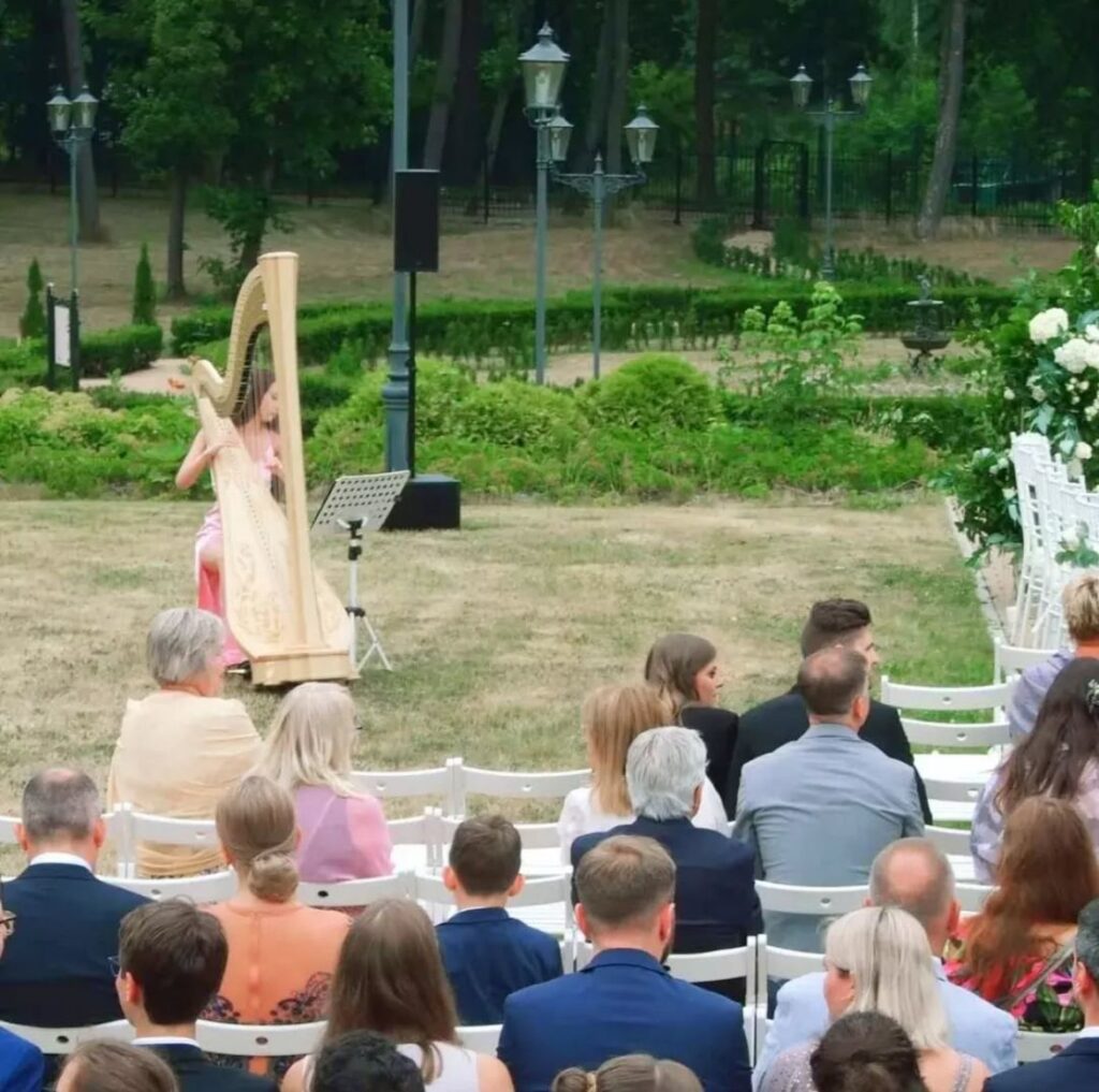 Występ na koncercie: harfa na scenie
